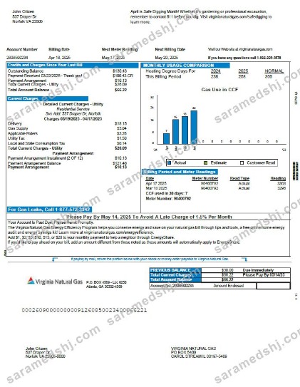 USA Virginia Natural Gas utility bill template in Word and PDF formats